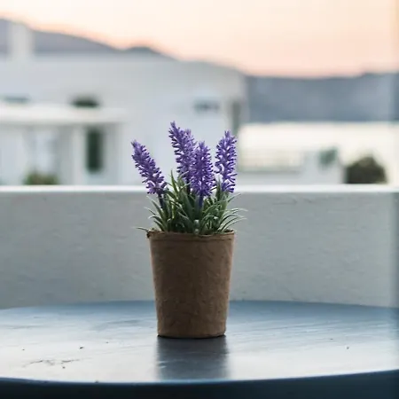 Vista Mare Naousa (Paros)