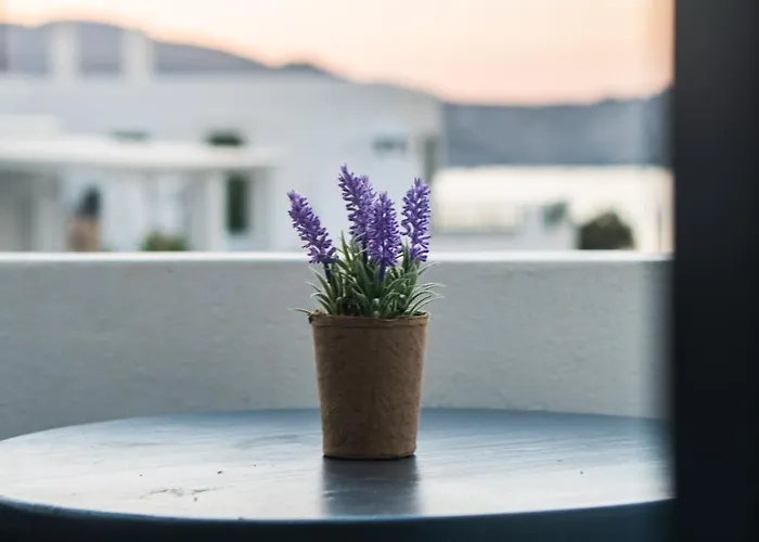 Vista Mare Νάουσα